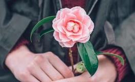 柃兰占星1.6新月运势：法国大革命