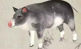 猪宝宝起名，2019年猪宝宝起名大全