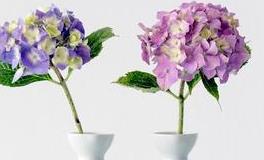 生活要有些趣味性才精彩，12星座生活品味排行榜