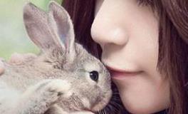 易鑫2019年3月10日生肖运势