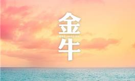 金牛座面对暧昧时的表现