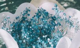 易鑫一周生肖运势（3.18-3.24）