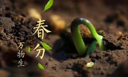 春分竖蛋，春分竖蛋的寓意