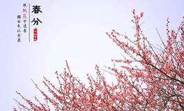 春分习俗，春分的主要传统习俗