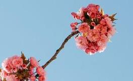 苏珊米勒周末运势（4.6-4.7）