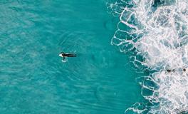 孕妇梦见大海什么意思