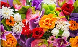 劳动节送什么花：劳动节鲜花推荐