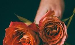 赠人玫瑰手有余香，通过成就他人来成就自己的生肖