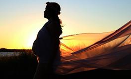 孕妇梦见黑狗是什么意思