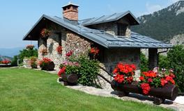 鲜花究竟摆哪最旺财