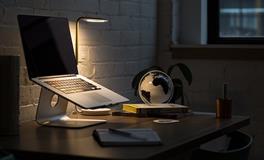 适合办公室养的植物