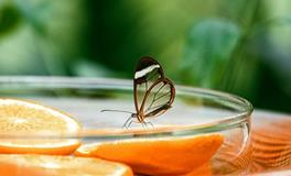 卧室照片摆放风水