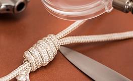 梦见抢别人钱是什么意思