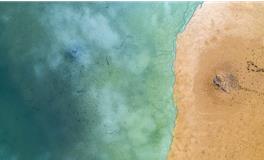 梦见自己在海滩上跑步