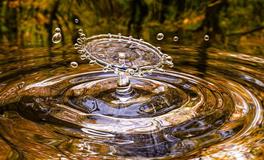 梦见涨很大的水