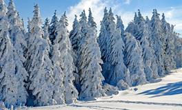 梦见山区里下雪