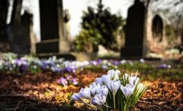 梦见自己在坟地里