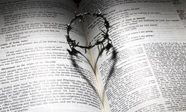 梦见有人撕破我的裤子