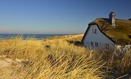 梦见和老公在山上一个房子里