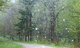 孕妇梦见下冰雹