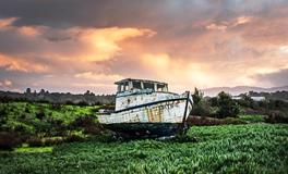 梦见鱼塘很多鱼好不好