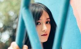 董易林2019年8月7日生肖运势