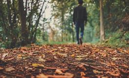 立秋三候是什么意思