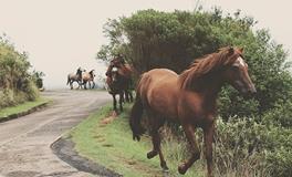 梦见迷路手机丢了