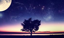 梦见寺庙拜佛念经是什么意思