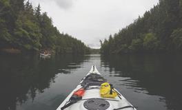 梦见谷物掉进河里什么意思