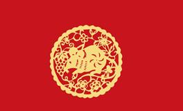 麦玲玲2020年十二生肖运程盘点