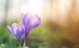 董易林2019年10月30日生肖运势