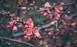 董易林2019年10月31日生肖运势