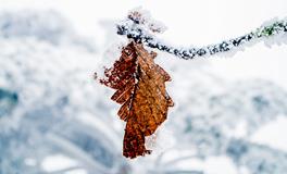 2019立冬是几月几日，立冬民间习俗