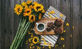 苏珊米勒每日运势2019年11月3日