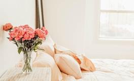 苏珊米勒每日运势2019年11月4日