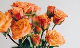 董易林2019年11月4日生肖运势