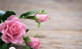 苏珊米勒每日运势2019年11月15日