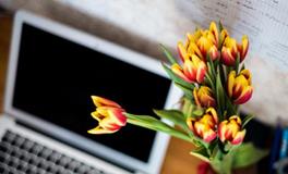 董易林2019年11月18日生肖运势