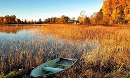 苏珊米勒一周星座运势（1.13-1.19）