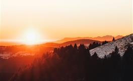 董易林2020年7月7日生肖运势