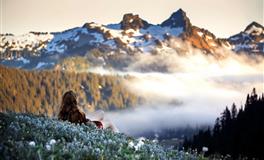 紫微14主星一周运势（3.2-3.8）