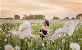 苏珊米勒一周星座运势（5.25-5-31）