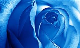 只有久处，才能生情！最慢热的三大星座