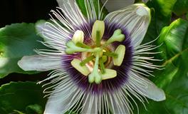 事业稳定，财运高涨扩展人脉，通过考验的4星座