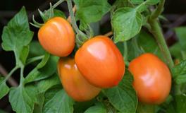 对女友恋爱史零兴趣的星座男