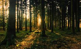 十二星座男对你彻底失望的表现