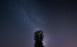 喜欢生闷气，等着人来安慰的星座