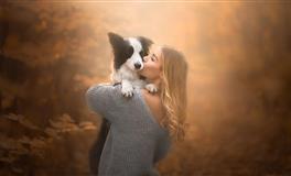 本周生肖运势，蛇、羊、猴、鸡、大吉大利