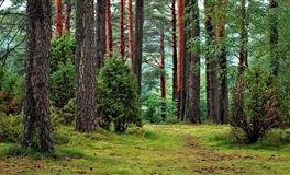 潜力无穷的星座，头脑清醒，智商极高，早晚会成为大人物